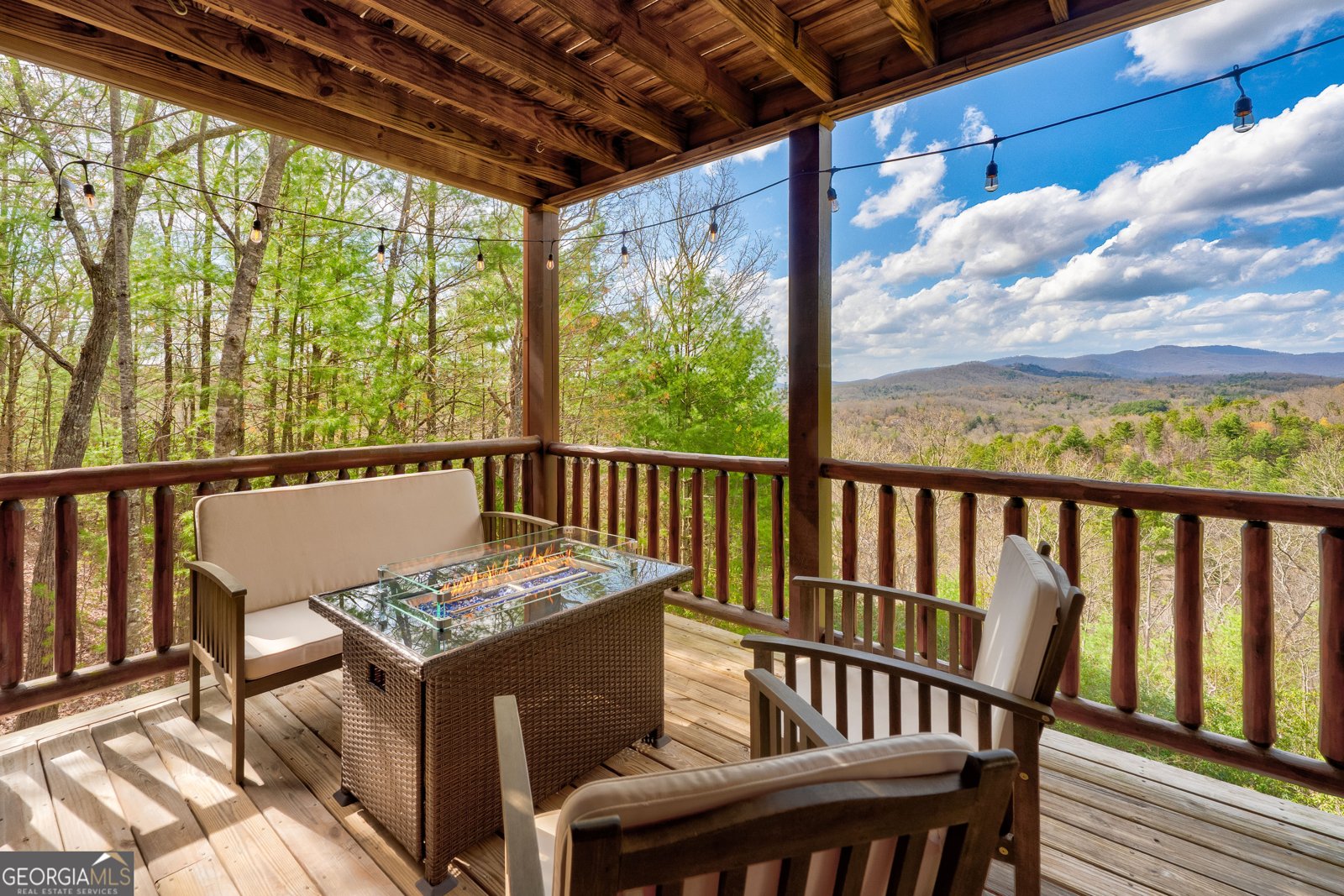 425 Rhonda Lane Mineral Bluff - Photo 56