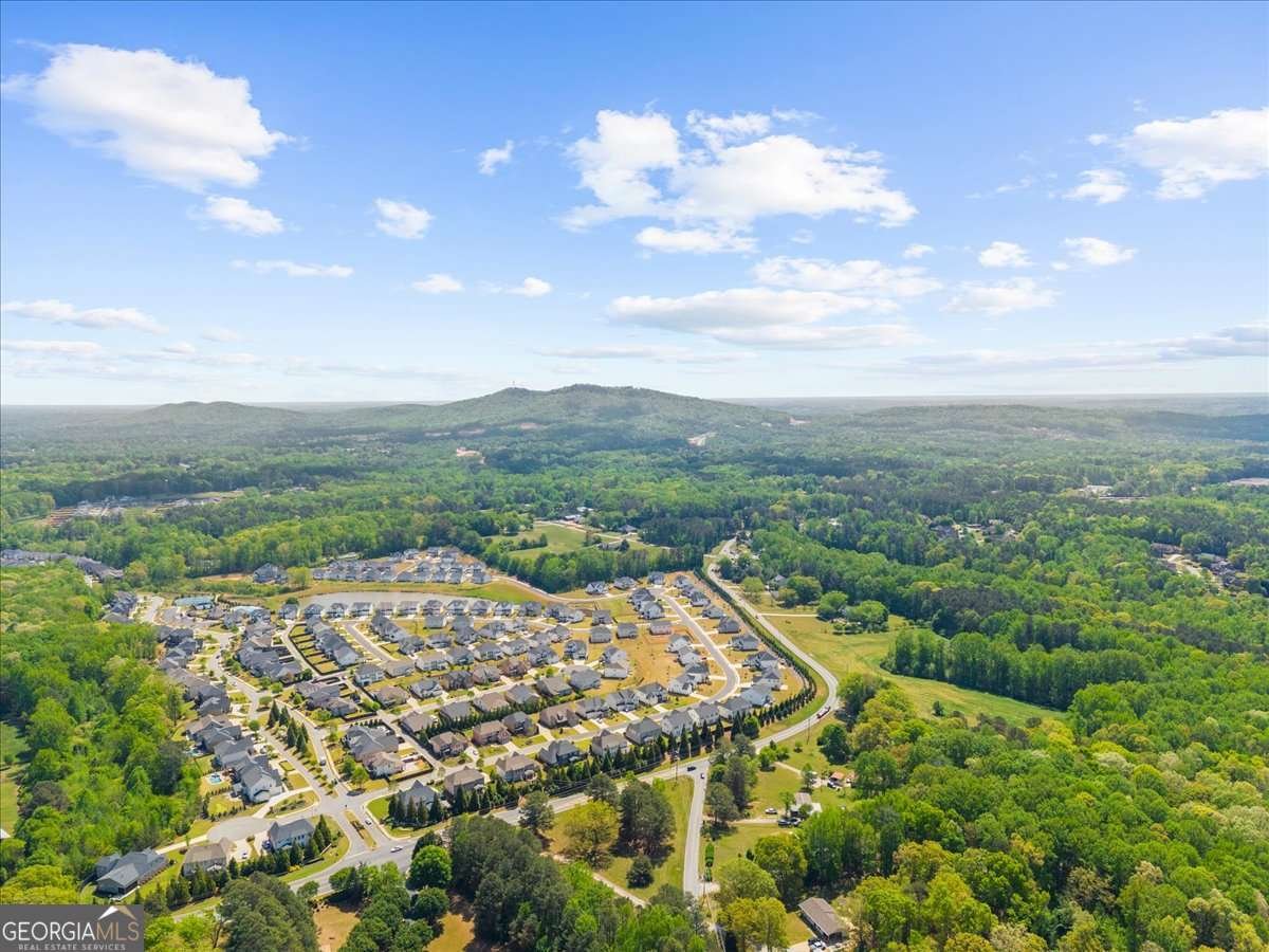 3255 Bridgeshaw Drive Cumming - Photo 29