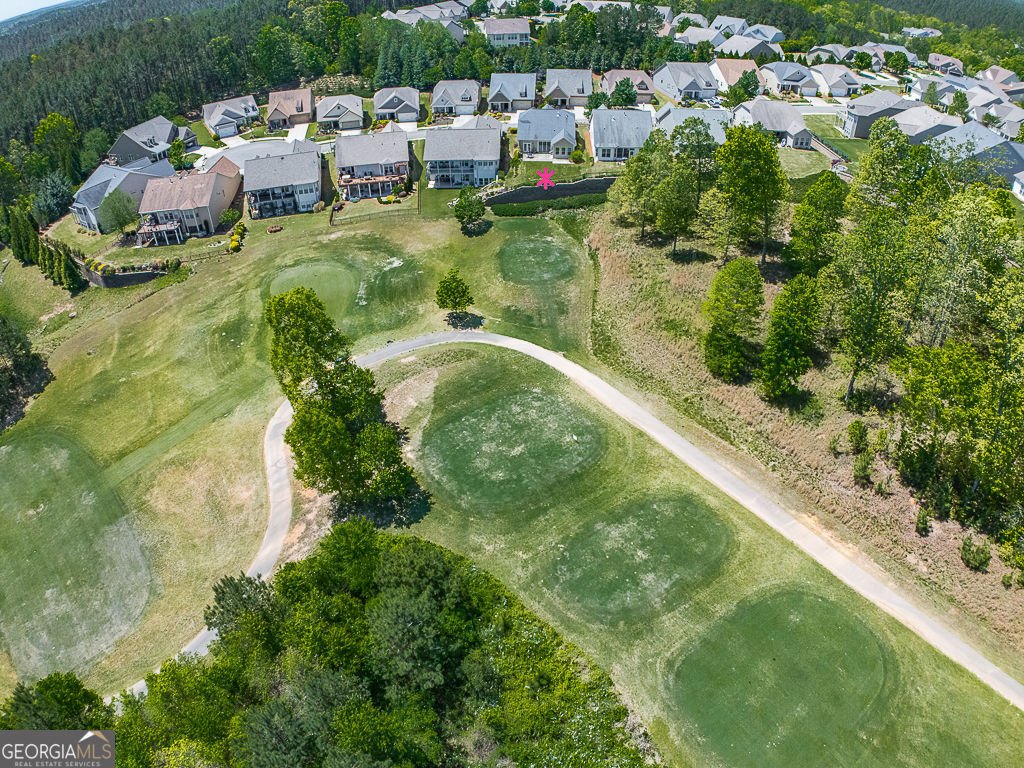 309 Laurel Lookout Hills Canton - Photo 44