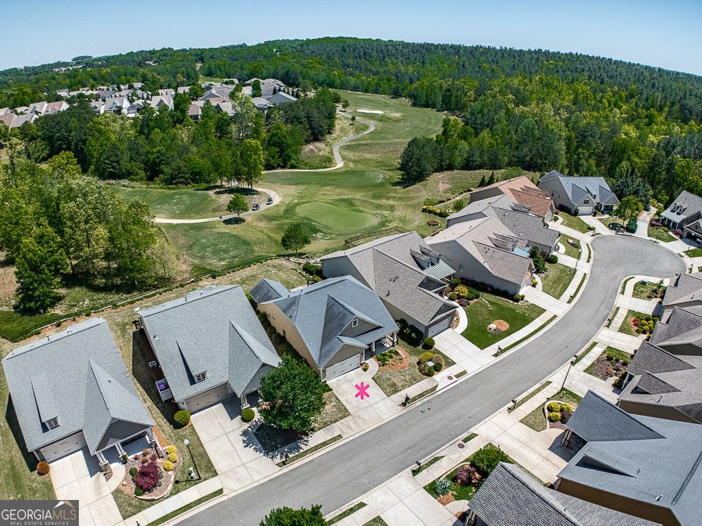 309 Laurel Lookout Hills Canton - Photo 51