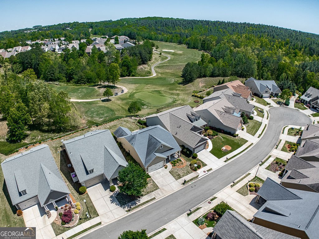 309 Laurel Lookout Hills Canton - Photo 52