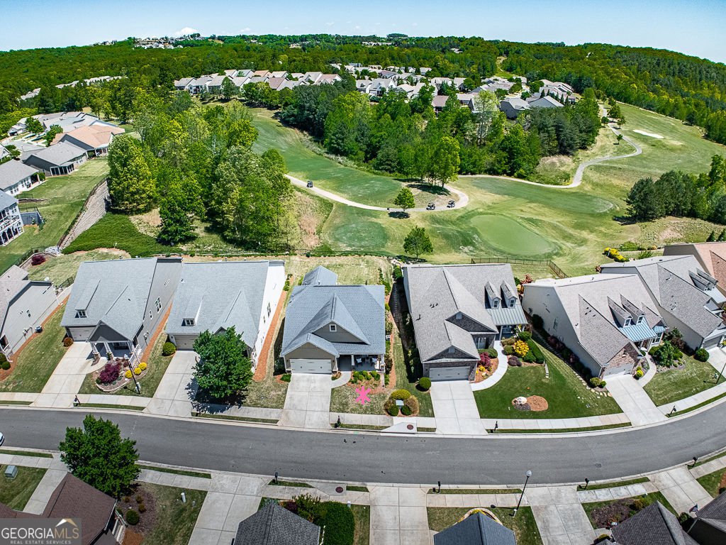 309 Laurel Lookout Hills Canton - Photo 53