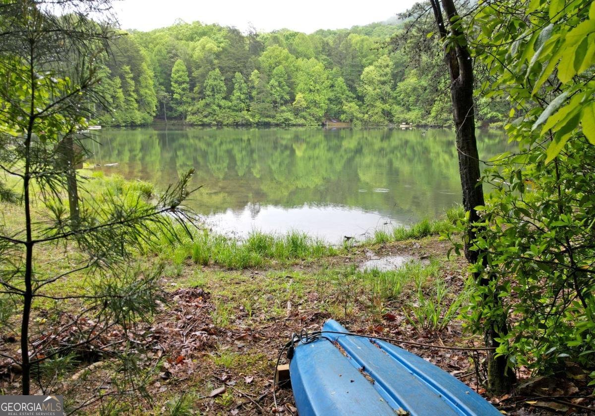 66 Pine Ridge Court Ellijay - Photo 41