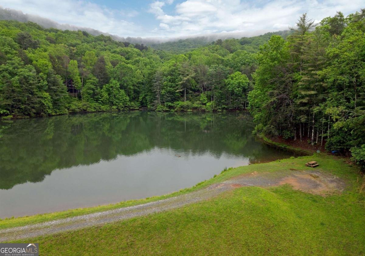 66 Pine Ridge Court Ellijay - Photo 46