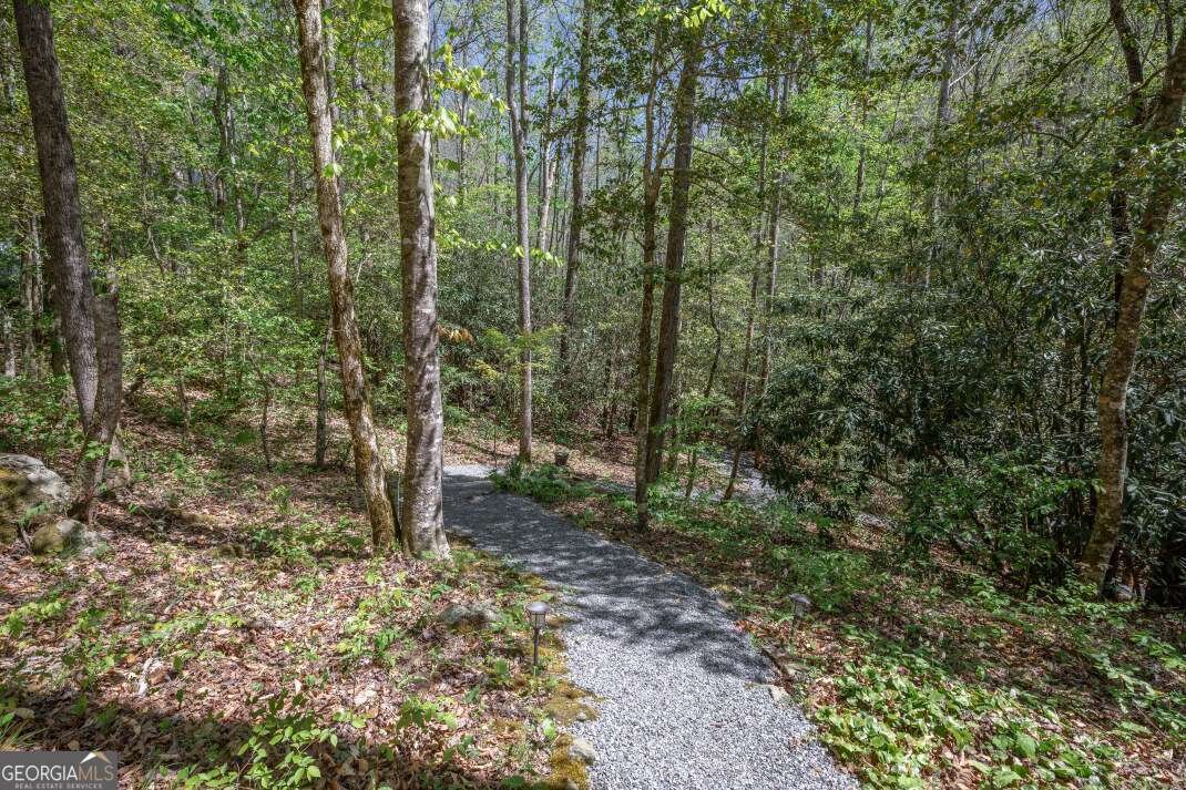 7904 Mr Bert Road Hiawassee - Photo 52