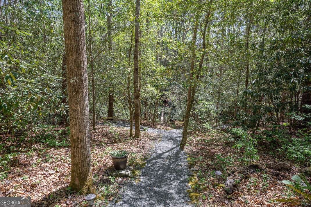 7904 Mr Bert Road Hiawassee - Photo 53