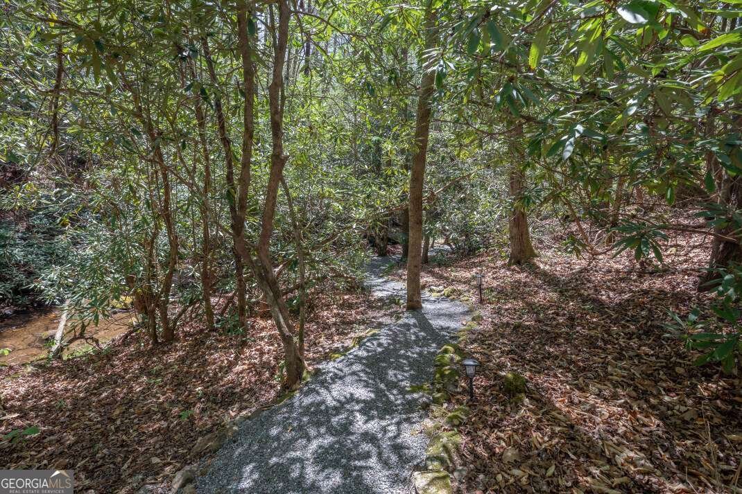 7904 Mr Bert Road Hiawassee - Photo 54