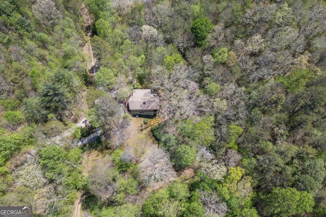 7904 Mr Bert Road Hiawassee - Photo 67