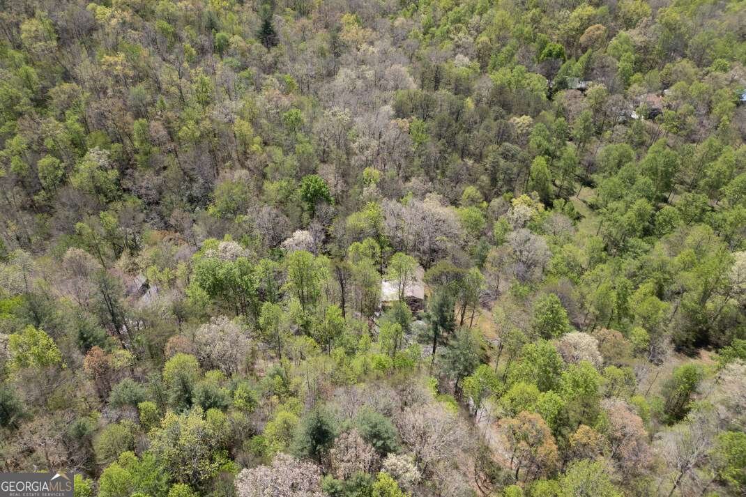 7904 Mr Bert Road Hiawassee - Photo 68