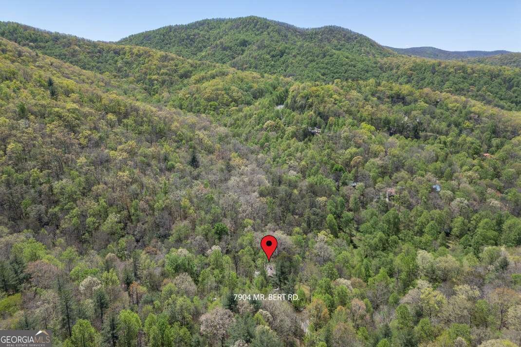 7904 Mr Bert Road Hiawassee - Photo 69