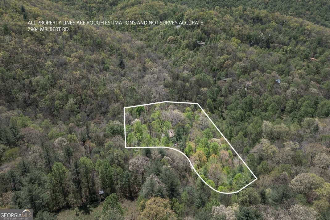 7904 Mr Bert Road Hiawassee - Photo 70