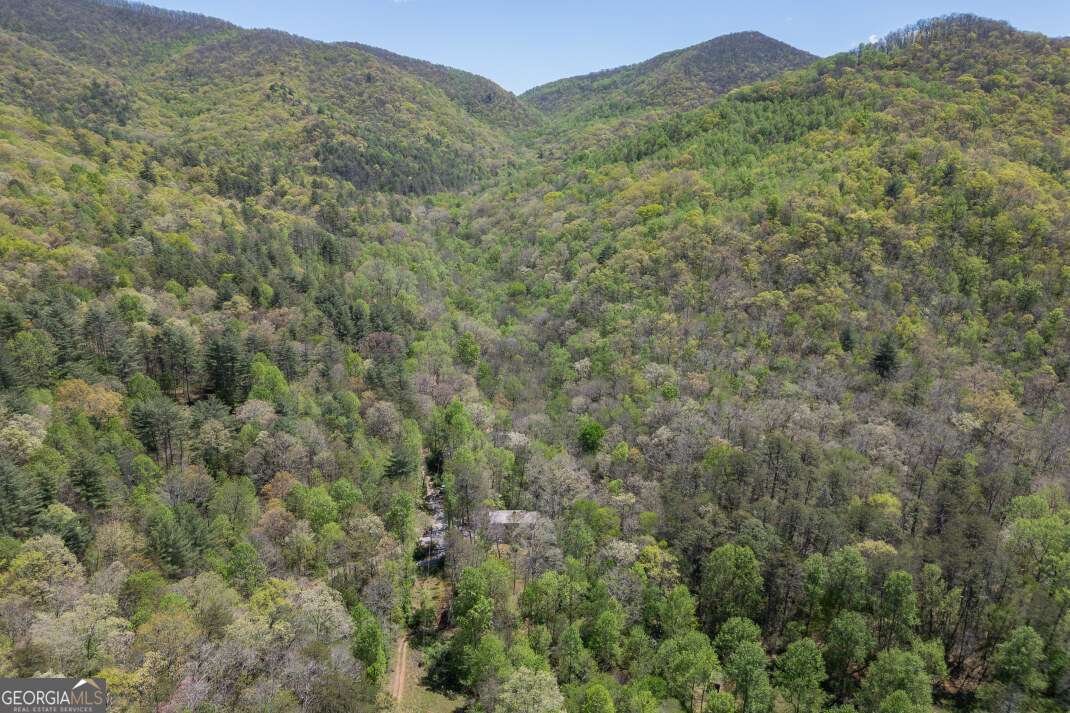 7904 Mr Bert Road Hiawassee - Photo 71