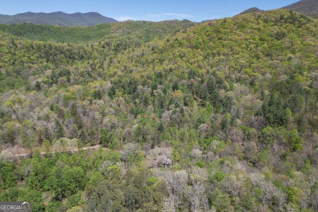 7904 Mr Bert Road Hiawassee - Photo 72