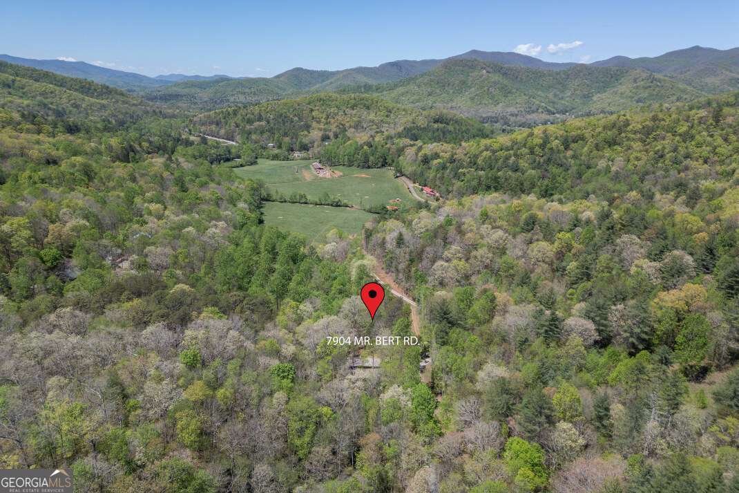 7904 Mr Bert Road Hiawassee - Photo 73