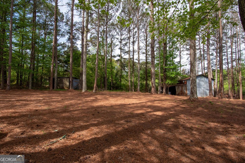 598 Beavers Rd Grantville - Photo 43