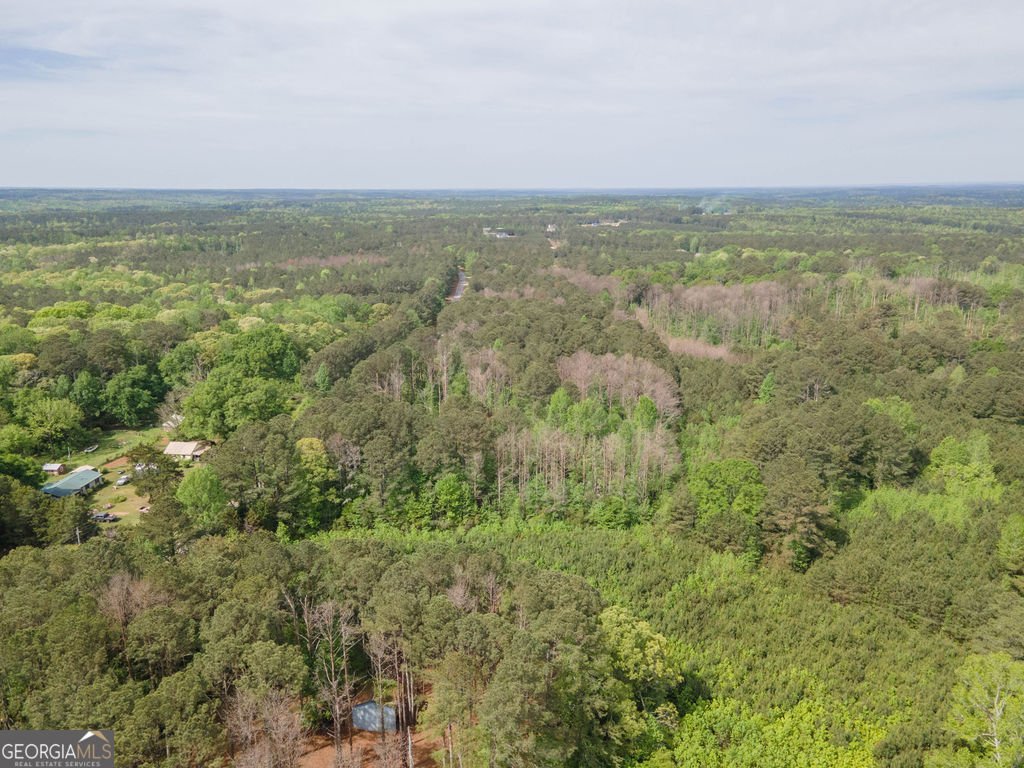 598 Beavers Rd Grantville - Photo 56