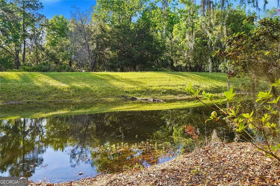 3 Bay Tree Court St. Simons - Photo 39