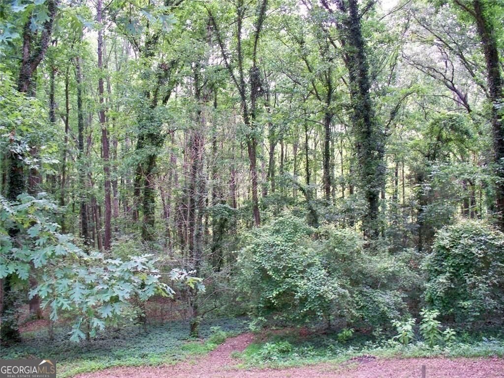 219 Park Avenue Woodstock - Photo 27