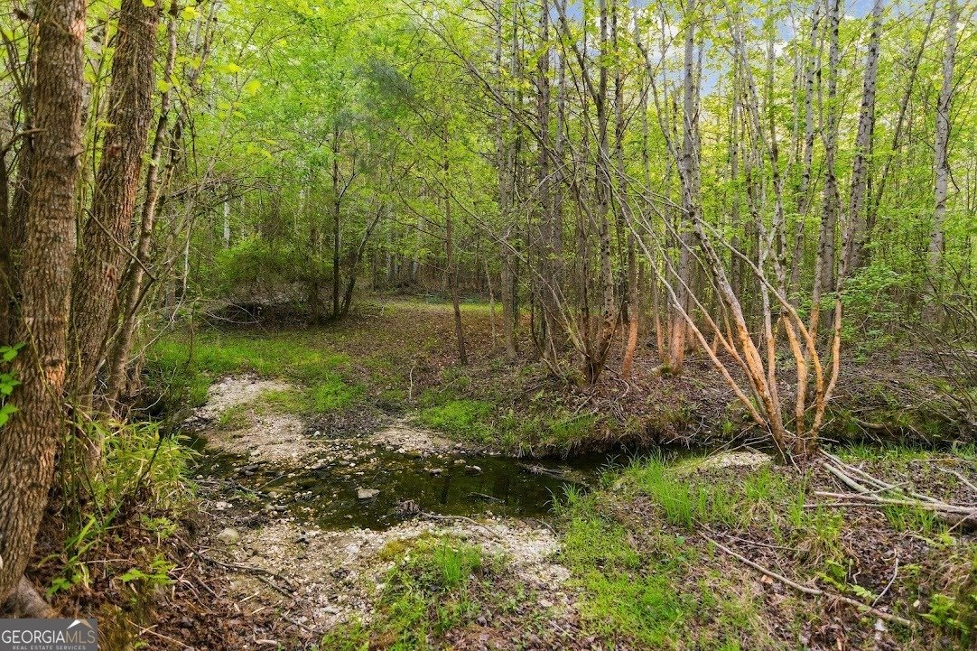 2239 Crossroads Church Road Buchanan - Photo 10