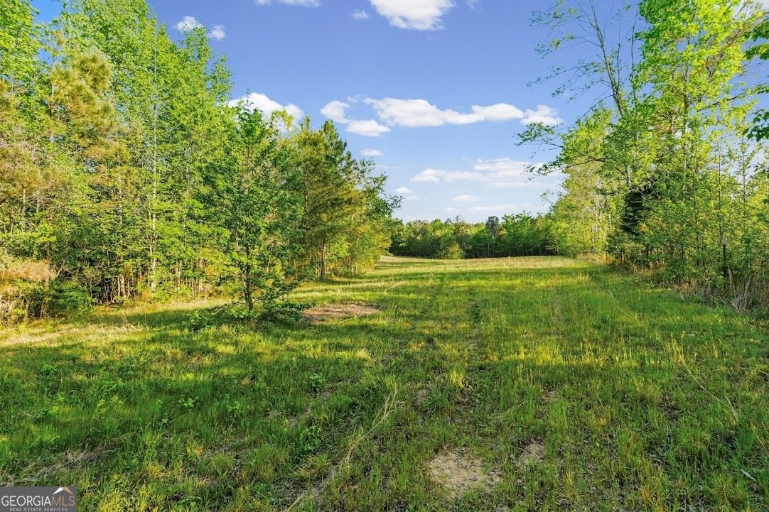 2239 Crossroads Church Road Buchanan - Photo 12