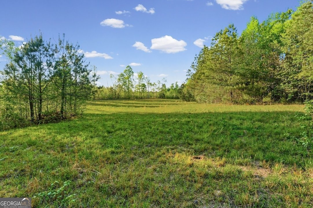 2239 Crossroads Church Road Buchanan - Photo 13