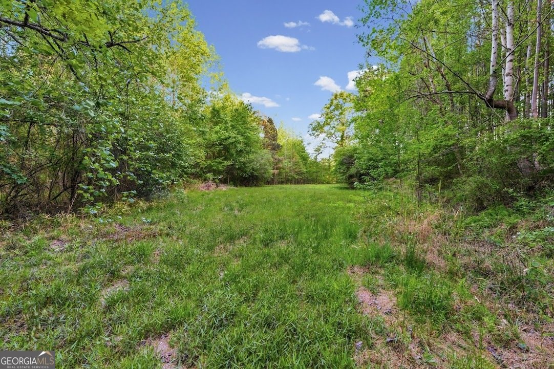 2239 Crossroads Church Road Buchanan - Photo 14