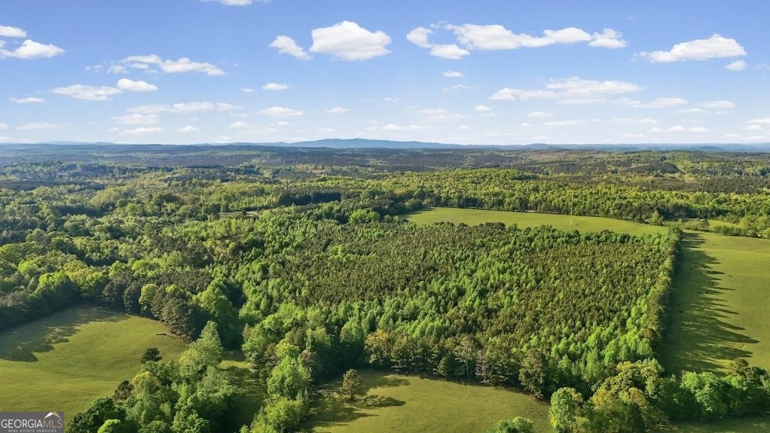 2239 Crossroads Church Road Buchanan - Photo 18