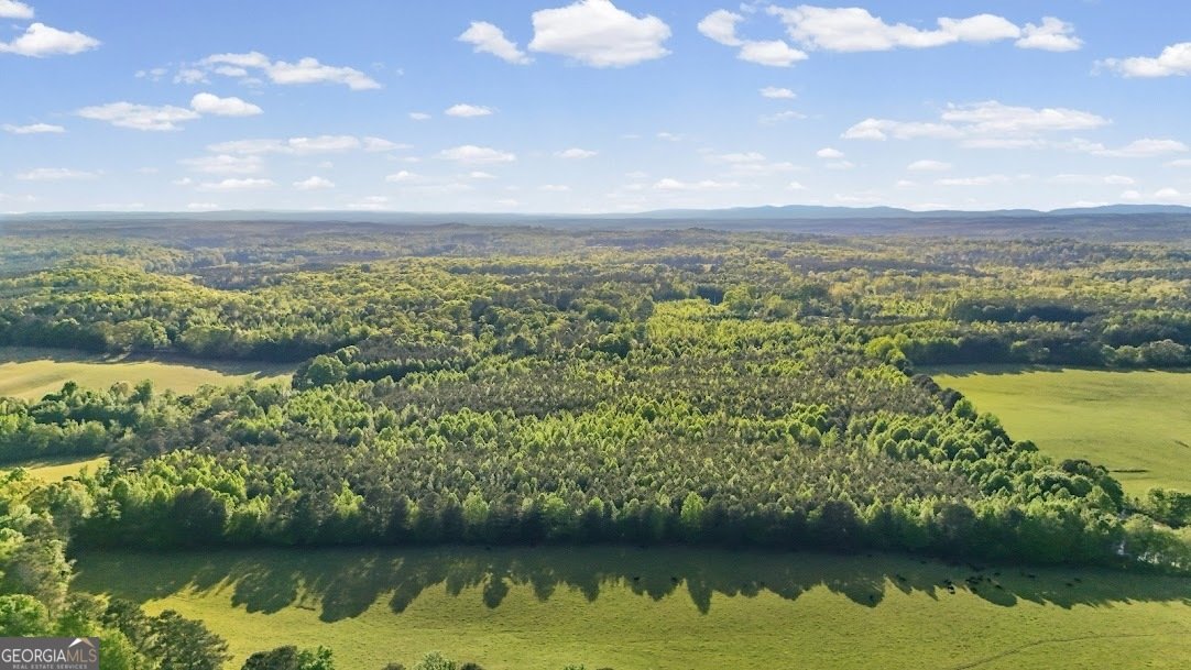 2239 Crossroads Church Road Buchanan - Photo 19