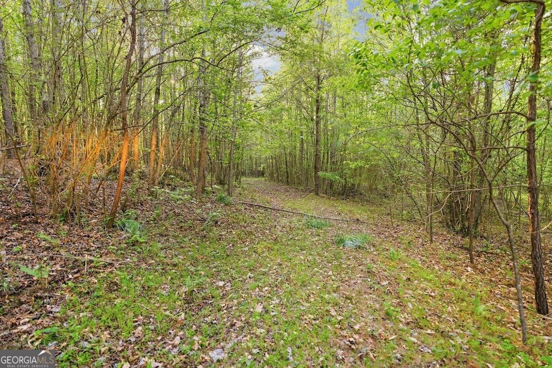 2239 Crossroads Church Road Buchanan - Photo 20