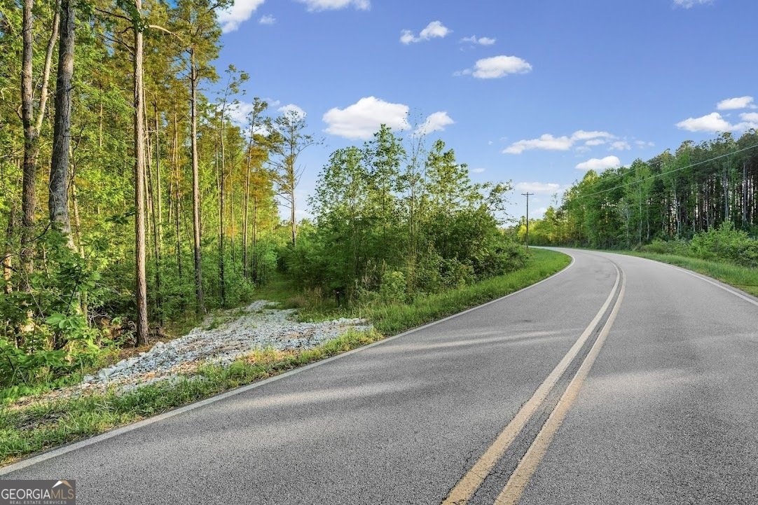 2239 Crossroads Church Road Buchanan - Photo 46