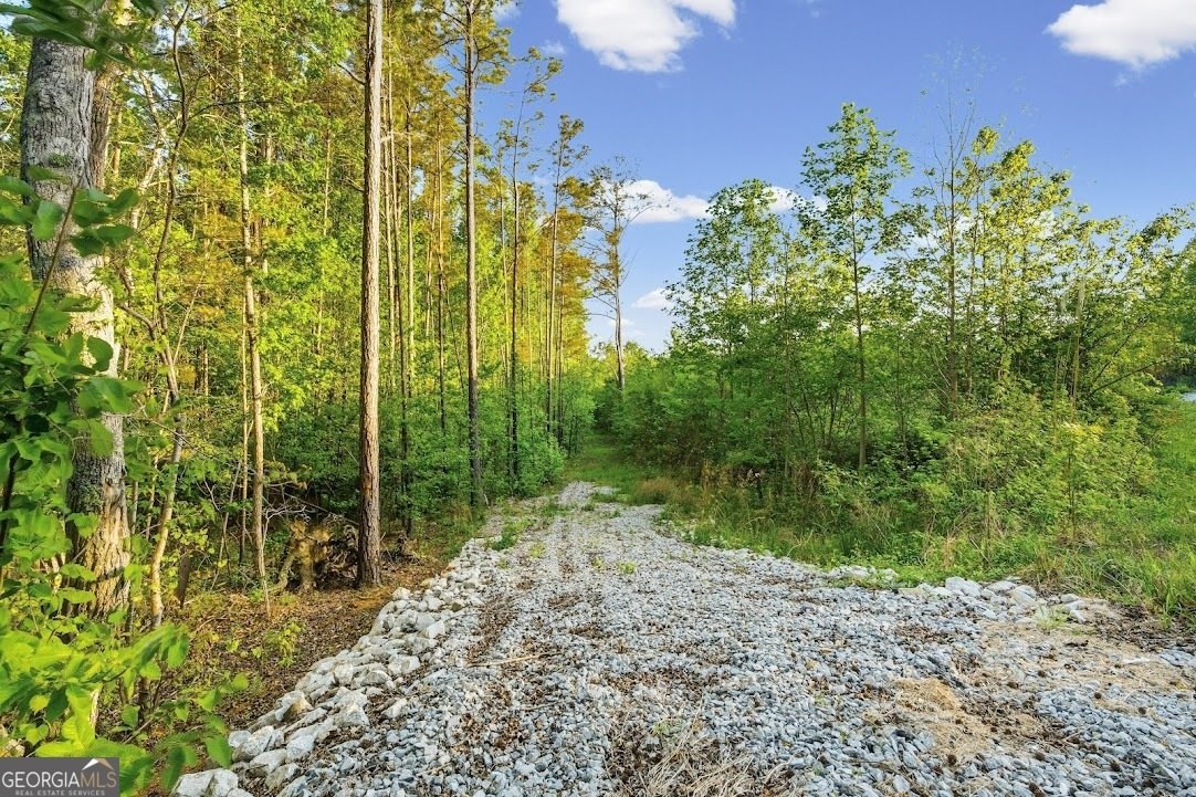 2239 Crossroads Church Road Buchanan - Photo 47