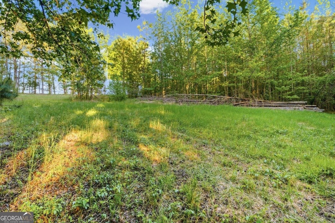 2239 Crossroads Church Road Buchanan - Photo 48