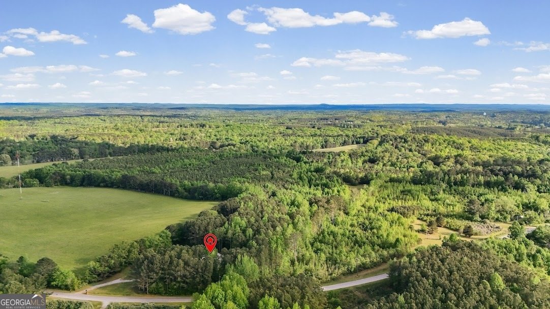 2239 Crossroads Church Road Buchanan - Photo 7