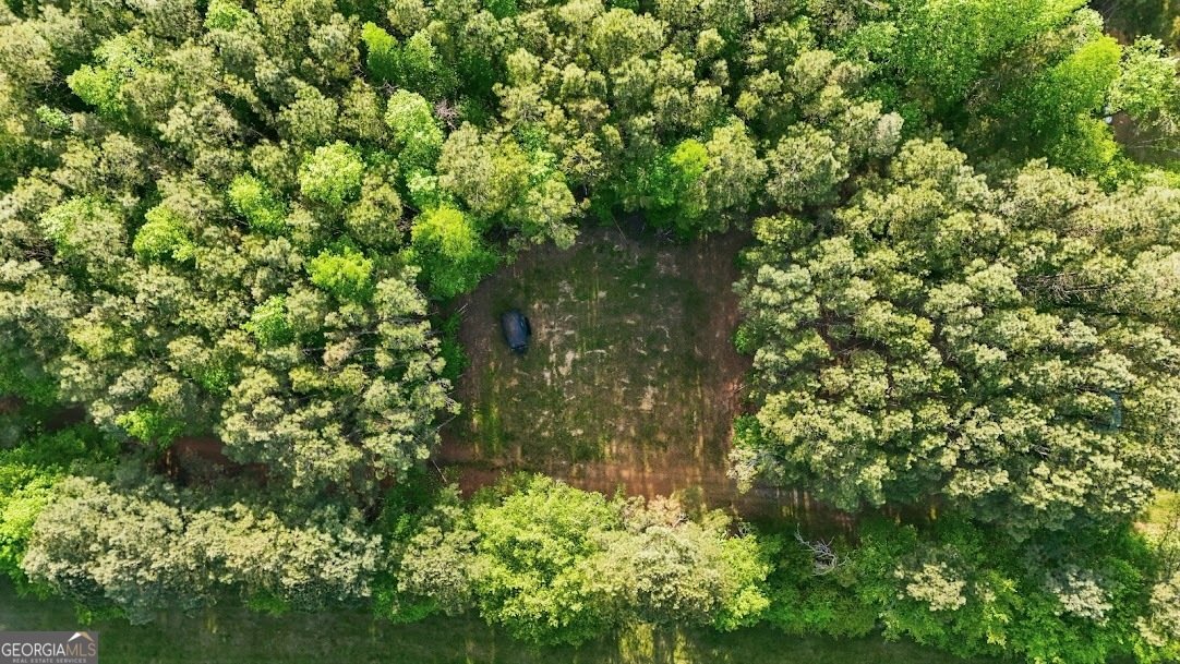 2239 Crossroads Church Road Buchanan - Photo 8