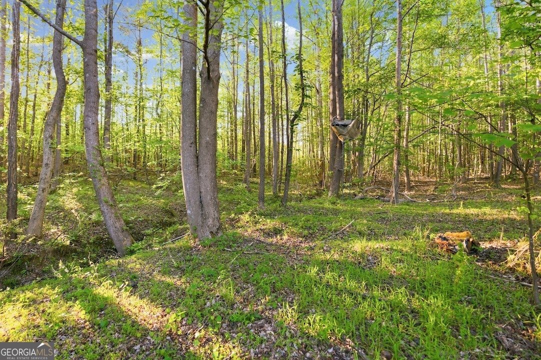 2239 Crossroads Church Road Buchanan - Photo 9