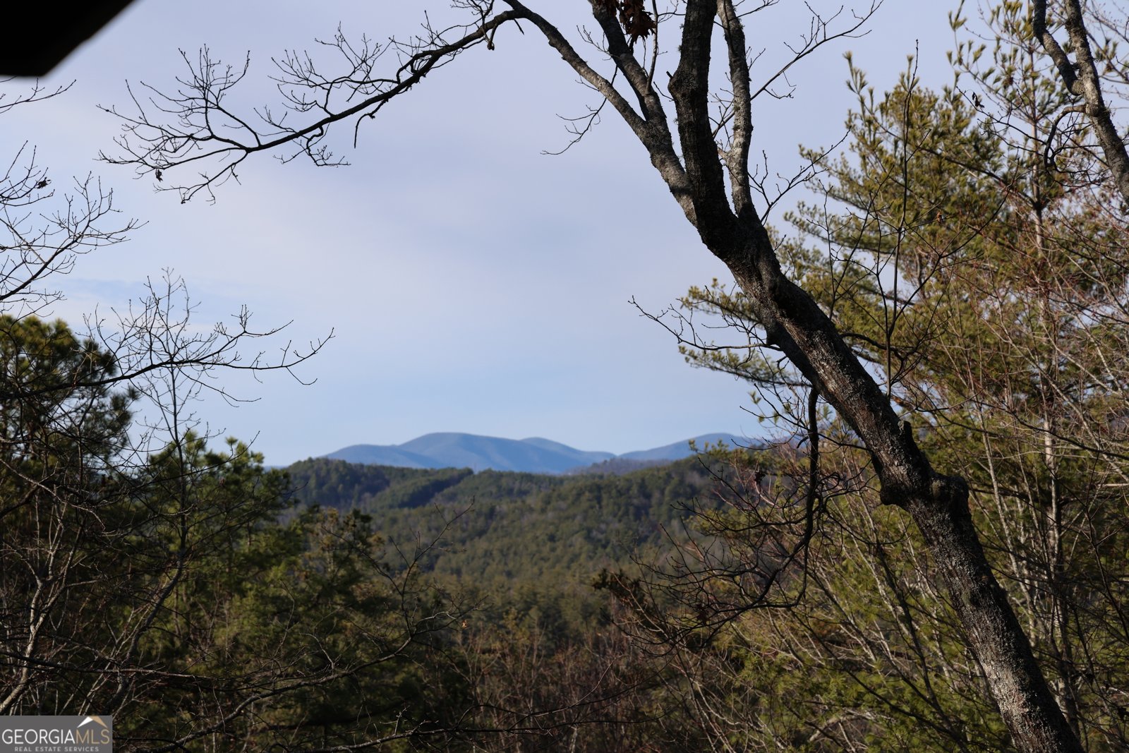 505 Long Mountain Drive Lakemont - Photo 7