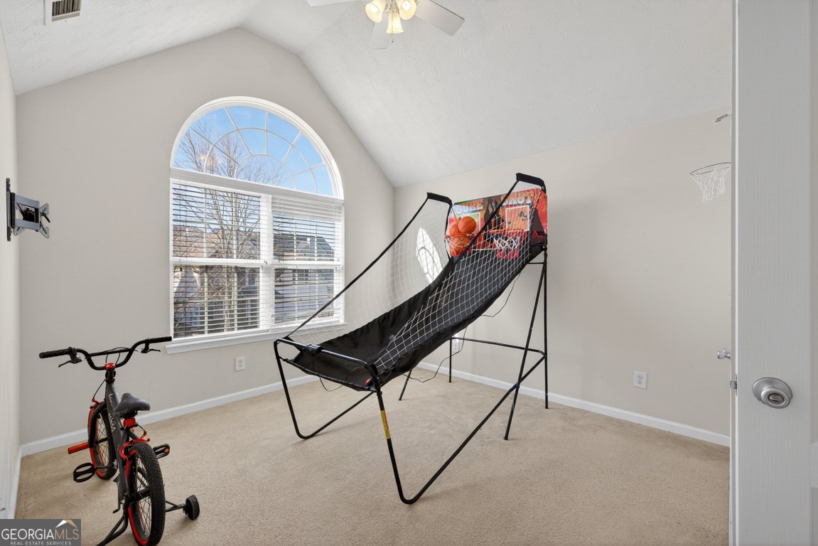 4376 Beaver Pond Court Loganville - Photo 32