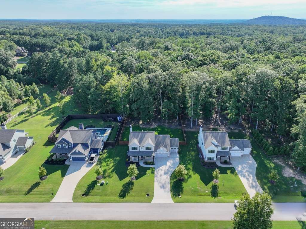 2214 Alcovy Station Lane Monroe - Photo 47