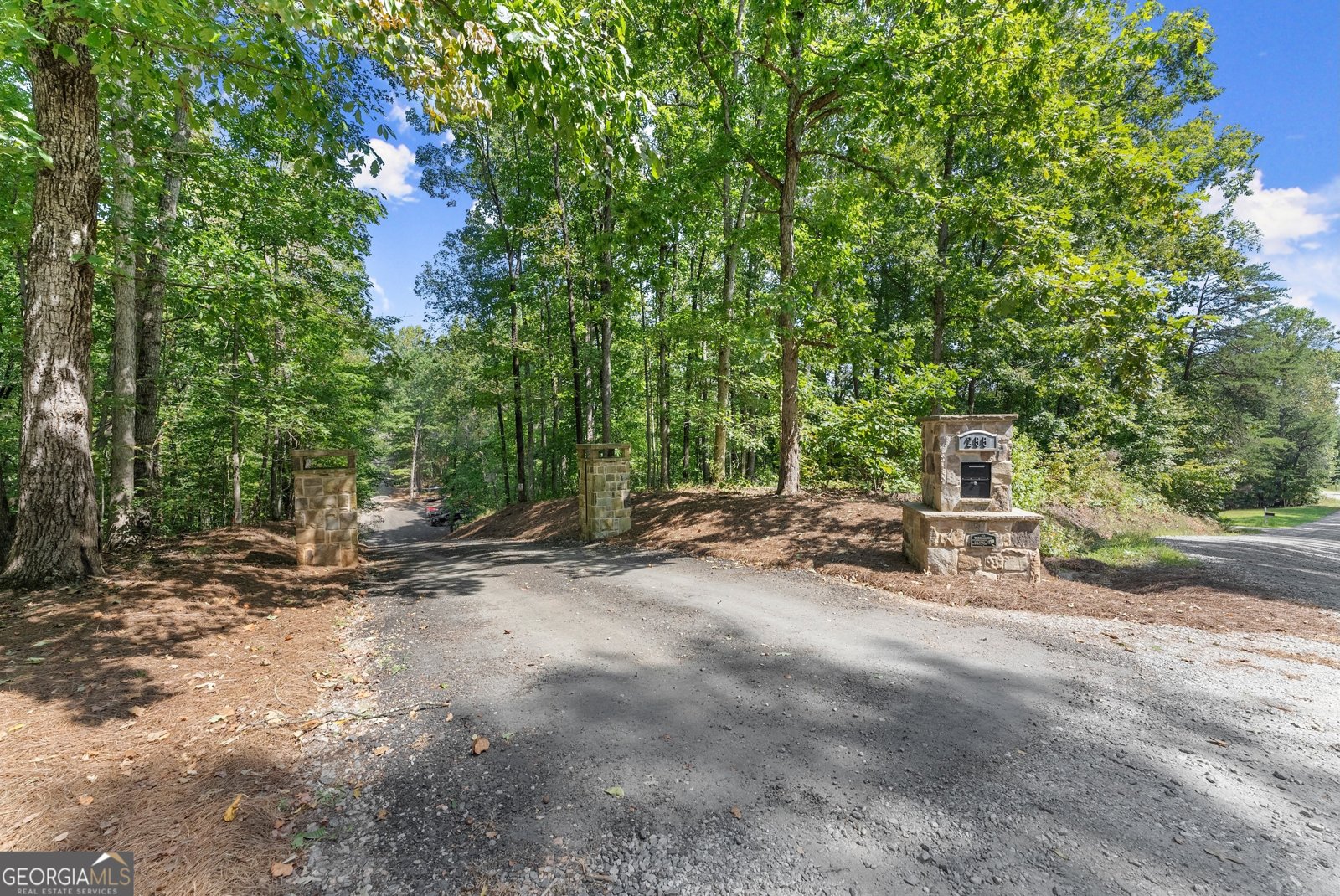 255 Reece Road Dawsonville - Photo 128