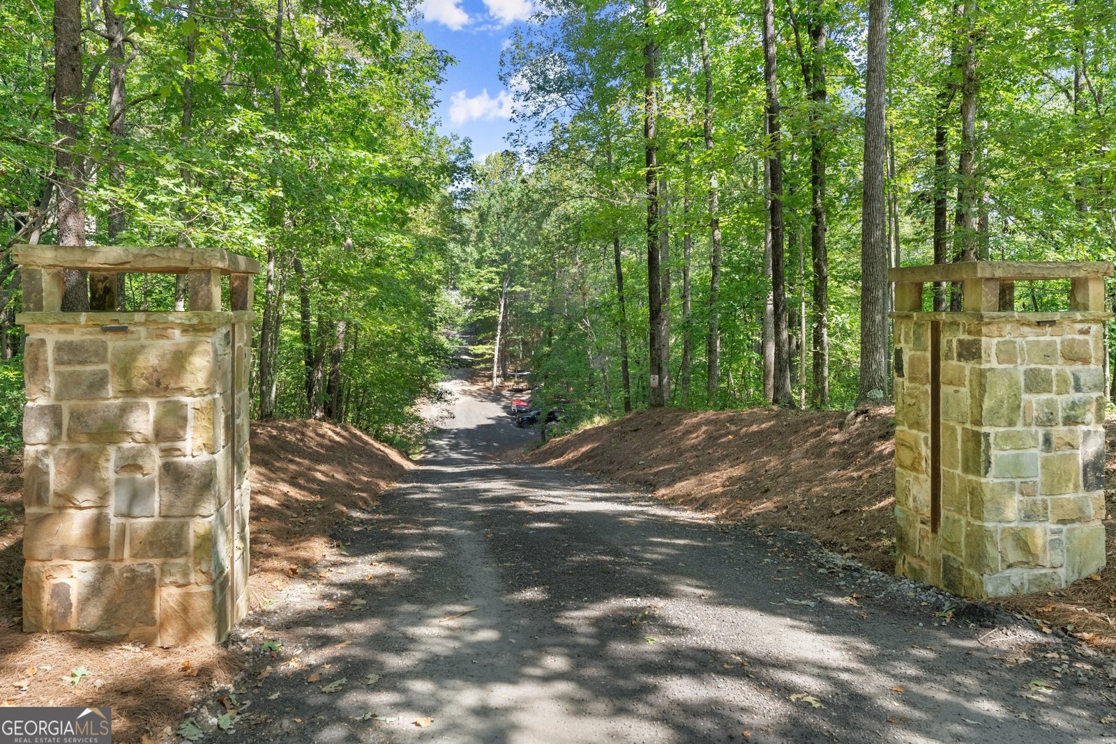 255 Reece Road Dawsonville - Photo 129