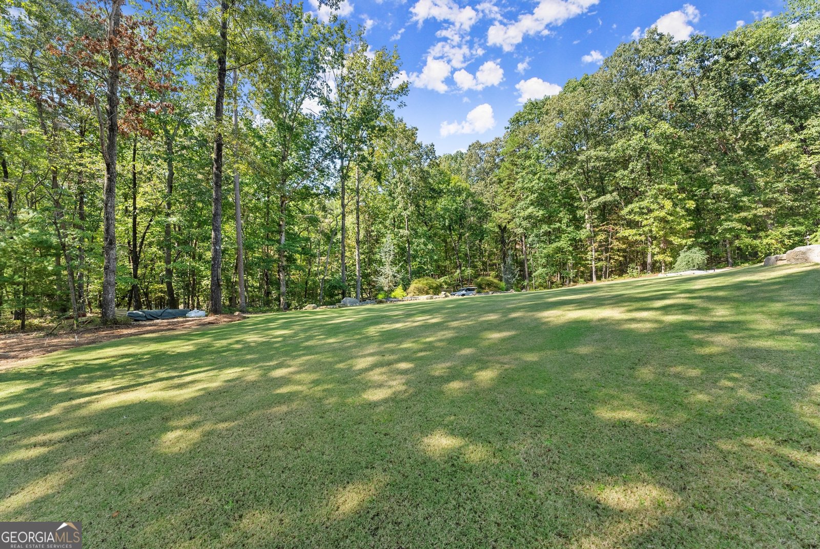 255 Reece Road Dawsonville - Photo 130