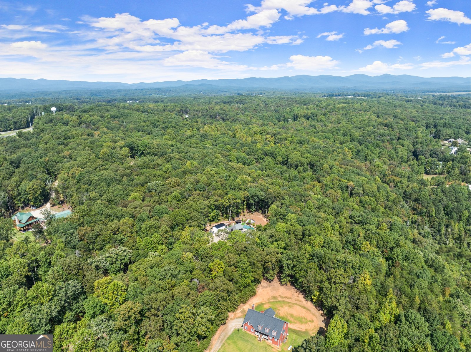 255 Reece Road Dawsonville - Photo 138