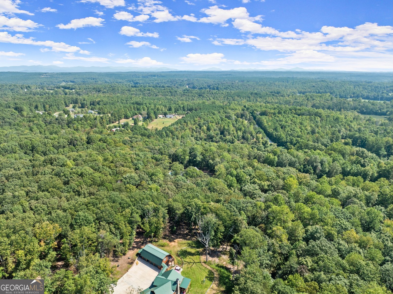 255 Reece Road Dawsonville - Photo 141