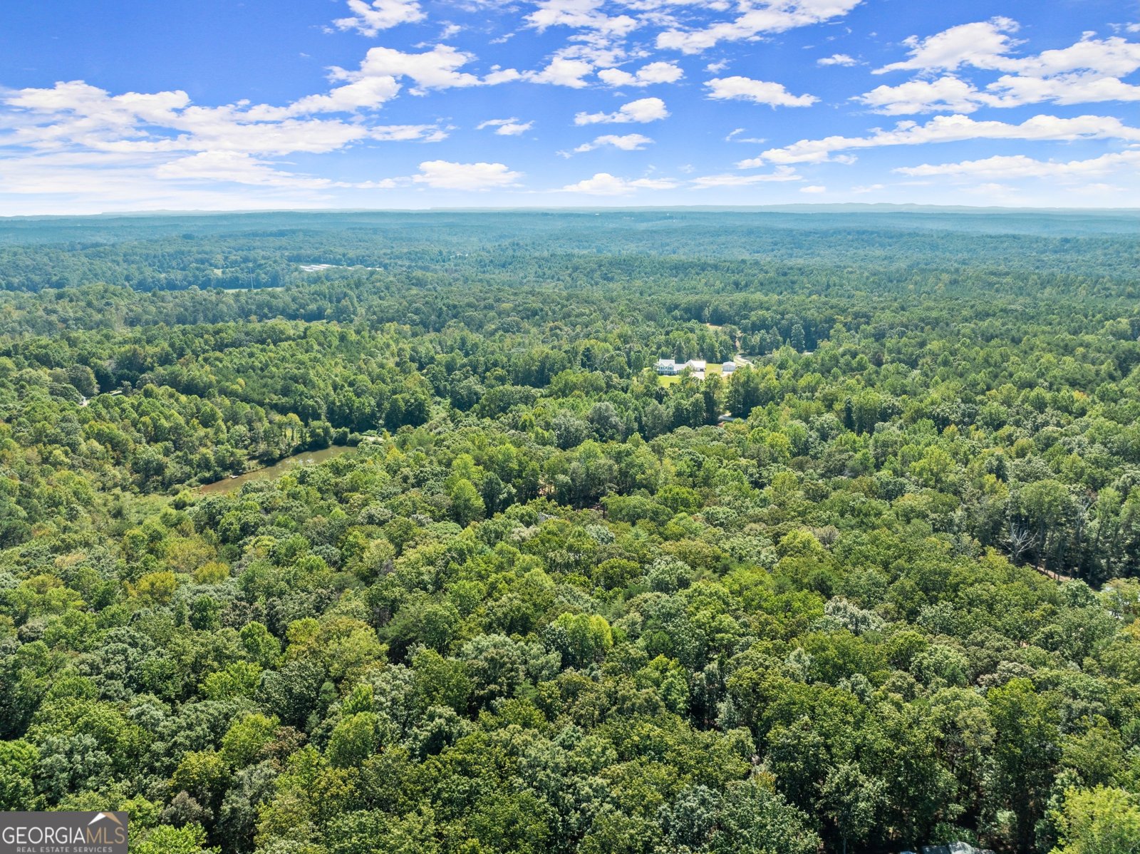 255 Reece Road Dawsonville - Photo 142