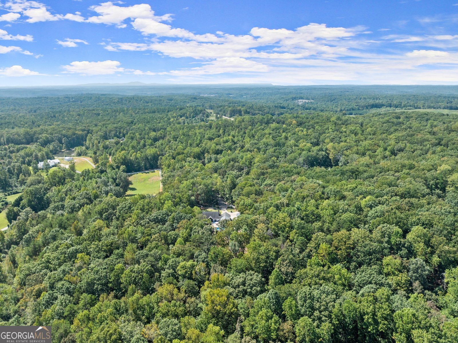 255 Reece Road Dawsonville - Photo 143