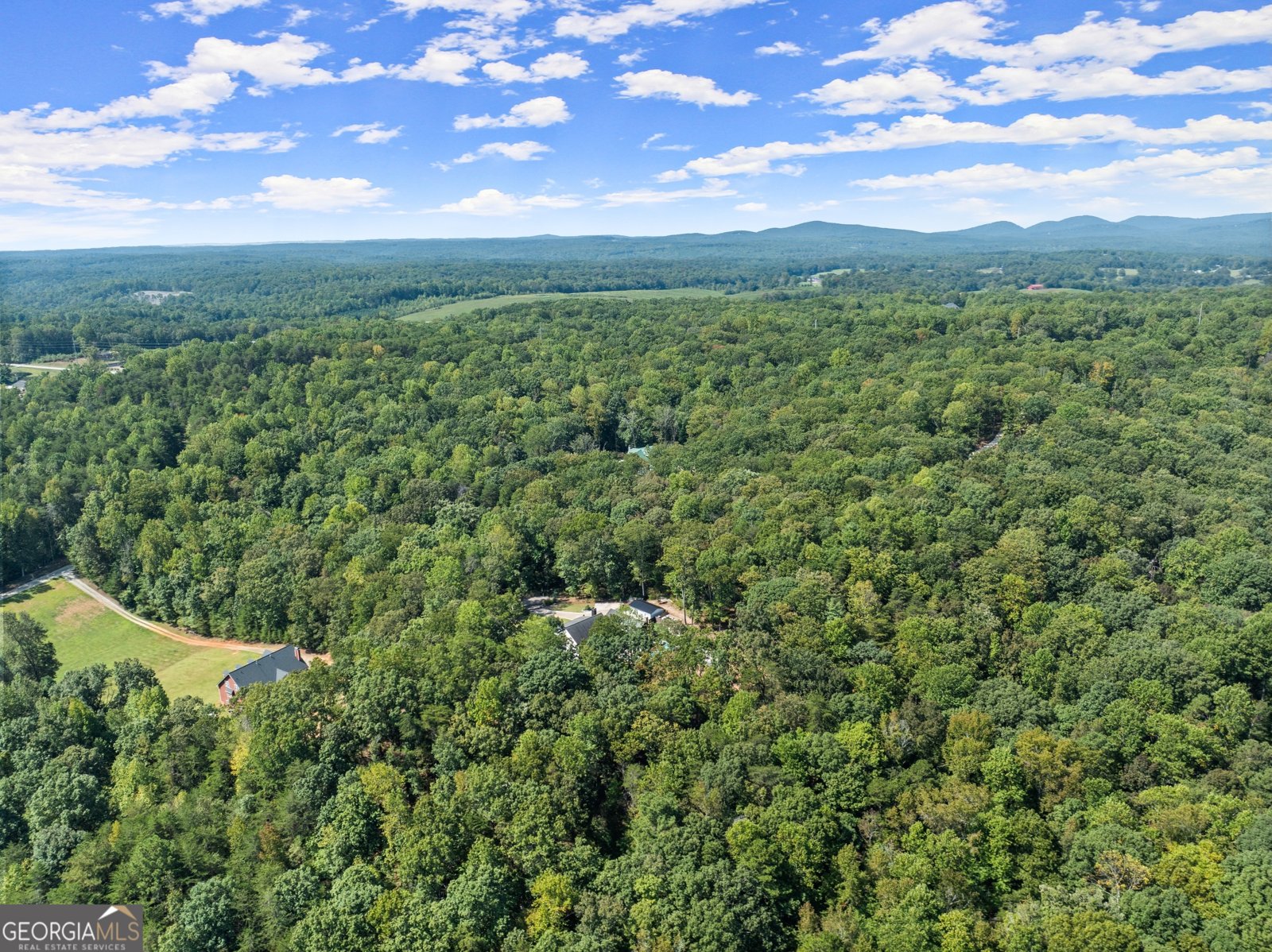 255 Reece Road Dawsonville - Photo 144