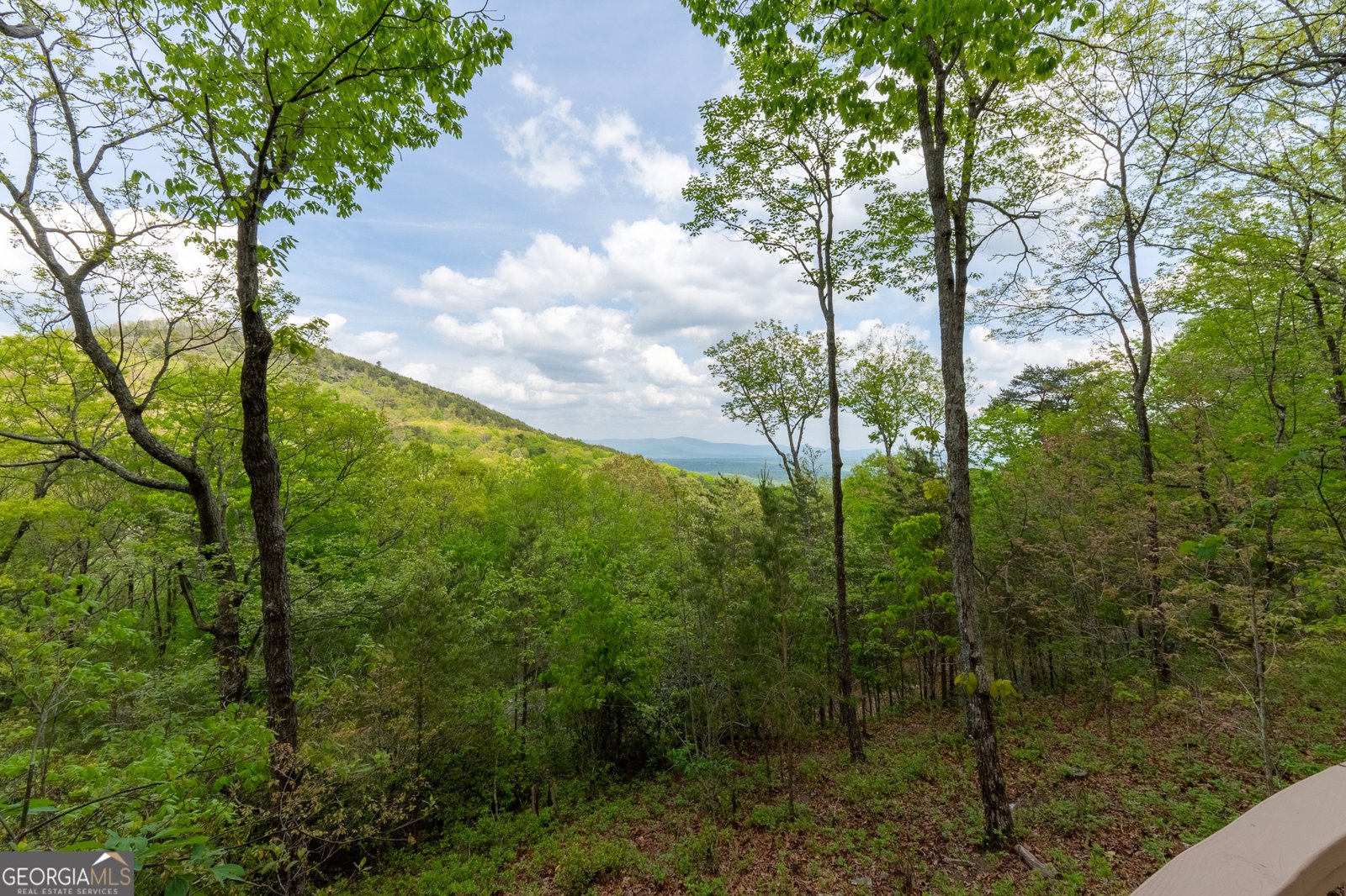 24 Fern Creek Court Jasper - Photo 92