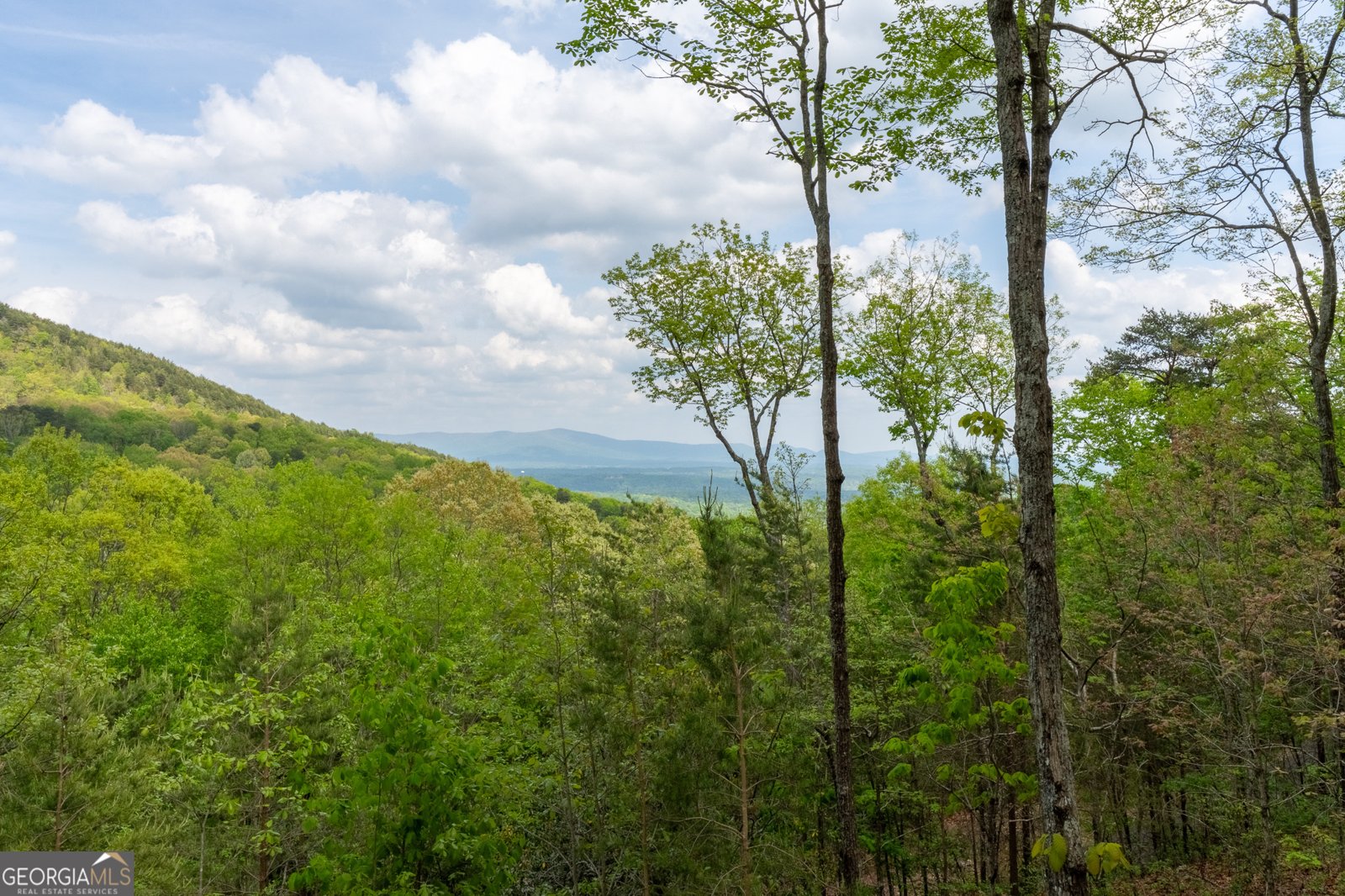 24 Fern Creek Court Jasper - Photo 93