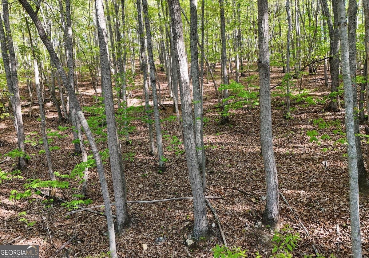 115 Richwood Trail Blairsville - Photo 19