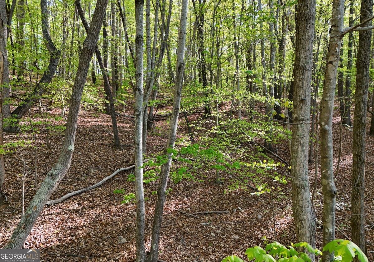 115 Richwood Trail Blairsville - Photo 20